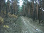 PICT0158_redimensionar.JPG