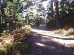 PIC_0067.JPG
