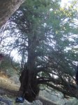 Ulldemolins-07 030_576x768.jpg