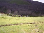 PIC_0035.JPG