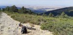 resized_20181006_143214.jpg