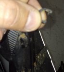 IMG_20181109_094542~01.jpg