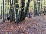 IMG_20181110_105742.jpg