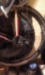 20181116_002142.jpg