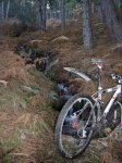 DSCN1159.JPG