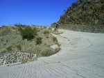 DSC00271 (Large).JPG