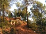 PICT0001 (Small).JPG