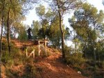 PICT0002 (Small).JPG