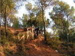 PICT0005 (Small).JPG