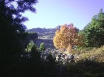 PIC_0022.JPG