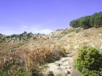 PIC_0045.JPG