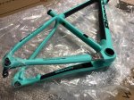 bianchi3.jpeg