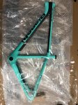 bianchi4.jpeg