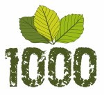 IX 1000.PNG