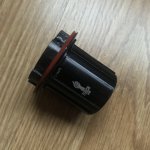 IMG_4283.jpeg