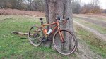 20181125_131551.jpg