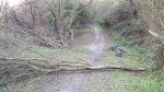 IMG-20181122-WA0006.jpg