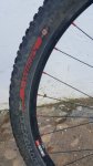 20181126_092942.jpg