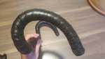 IMG-20181117-WA0015.jpg
