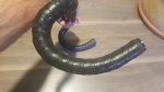 IMG-20181117-WA0017.jpg