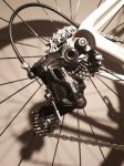 IMG-20181201-WA0010.jpg