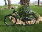 specialized-01.jpg
