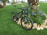 specialized-06.jpg