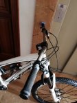 IMG_20181201_094510.jpg