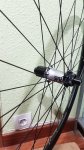 20181202_133651_resized.jpg