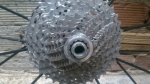 IMG-20171128-WA0001.jpg