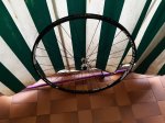 IMG-20181212-WA0004.jpg