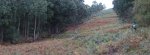 Panorama 2.JPG