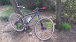 20181129_102750.jpg