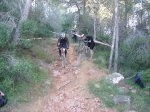 Marxa Borriol 2007 156 [640x480].jpg
