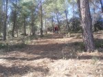 xMARATON_RUIDERA 033.jpg