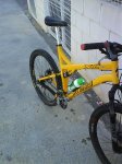 DSC00114.jpg