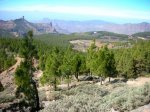 DSCN3259.JPG