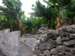 DSCN3315.JPG