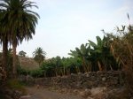 DSCN3317.JPG