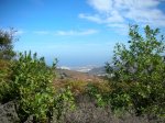 DSCN3338.JPG
