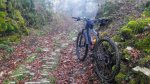 20181204_100602.jpg