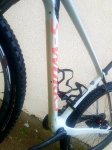 Specialized 7.jpg