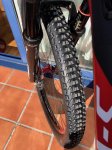 IMG_3452.jpeg
