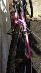 IMG-20181117-WA0006.jpg
