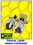 abejas1.jpg