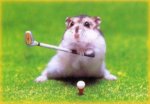 teeoff.jpg