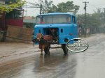 carro5ct.jpg