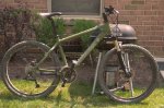 CHAMELEON GANGREEN3.jpg