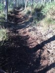 IMG-20190105-WA0014.jpg