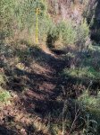 IMG-20190105-WA0030.jpg